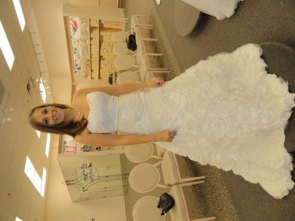 Which David's Bridal Dress? :  wedding davids bridal dress poll dilemma wg9828 sv415 DSC00955