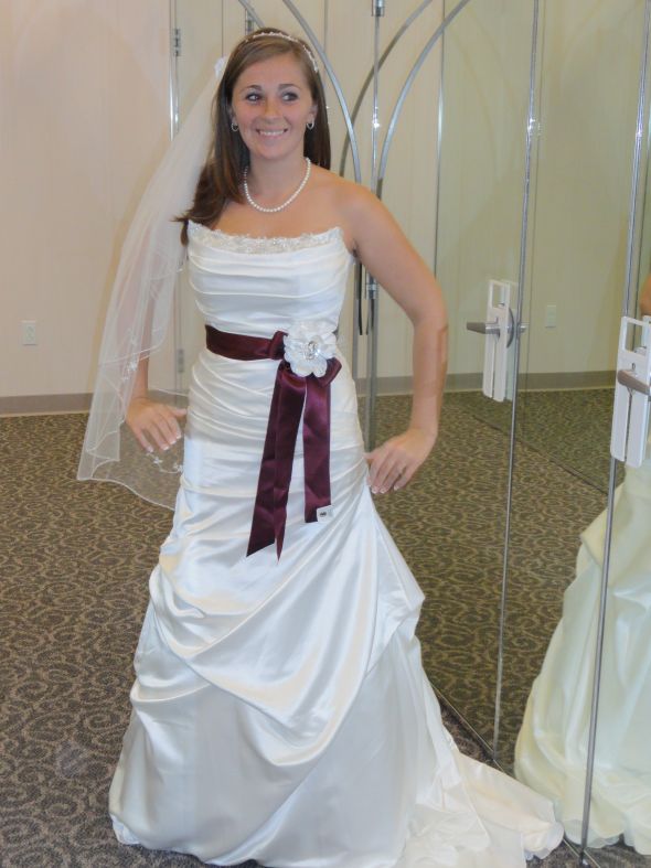 Which David's Bridal Dress? :  wedding davids bridal dress poll dilemma wg9828 sv415 Sash
