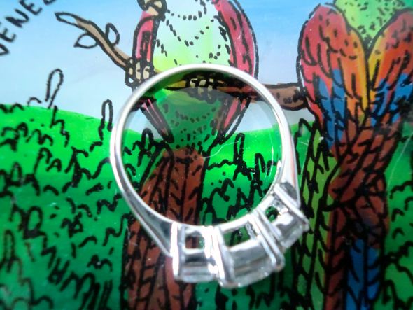 My Bea-U-tiful New Stand-in E-Ring  (pic heavy) :  wedding CIMG1015