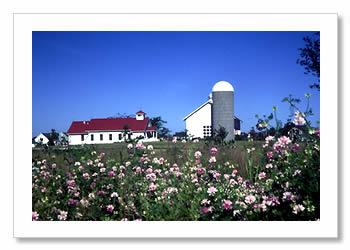 Getting married and having reception here. What settings does everyone like? :  wedding getting married and having reception here what settings does everyone like Bcb 05