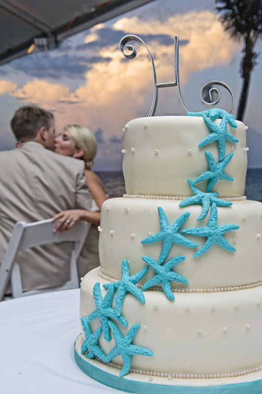 Our Starfish Cake! :  wedding Holler 1159