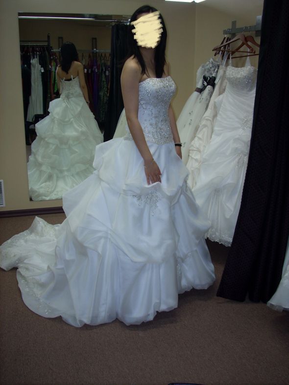 How much does your wedding dress cost you? :  wedding Sample