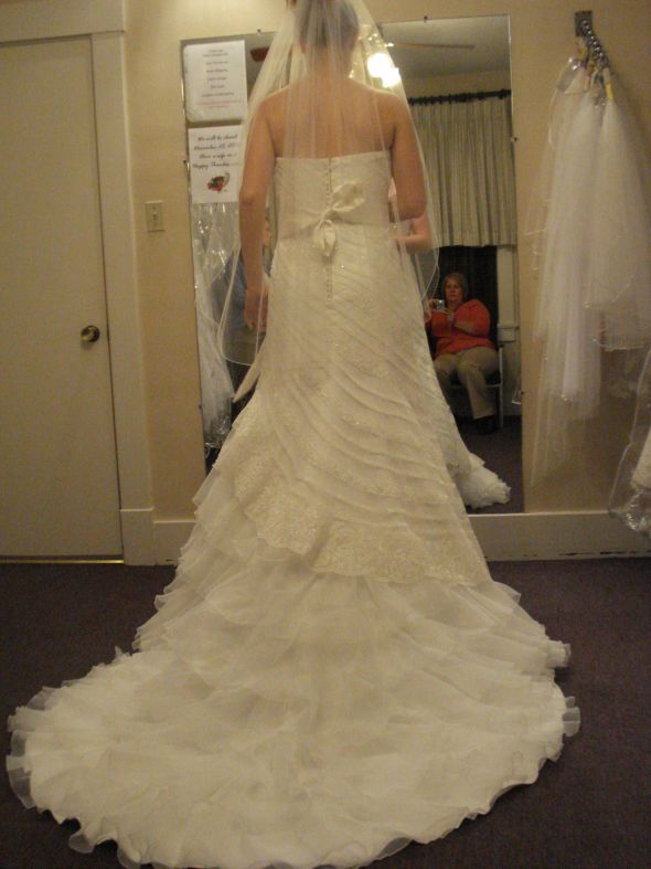 Let me see your dresses!! I'm sick of seeing them on models!! :  wedding DSC02505