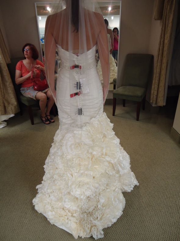 Help me decide which dress? PIC Heavy :  wedding DSC00541