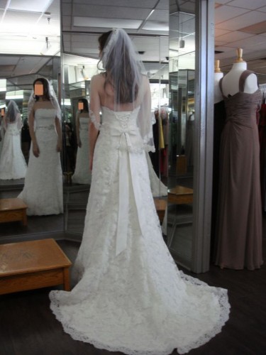 Winter Wedding Dresses :  wedding winter wedding dress cold Dress Boxes