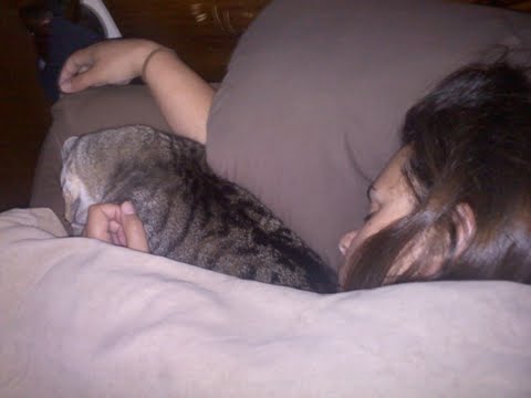 Cat People! :  wedding Samoa.me.bed