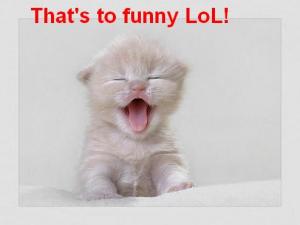 Raise your hand and repeat after me... :  wedding mrs grape Too Funny Lol Cat