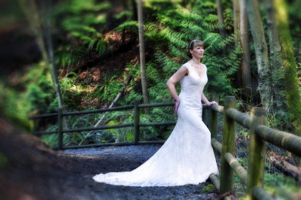 show off your bustle and back of your gown :  wedding bustle train gown dress wedding bridal S DSC0967 1
