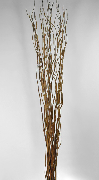 help me decorate my reception space! :  wedding reception space rustic vintage lights branches Save On Curly Willow