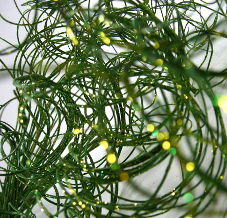 help me decorate my reception space! :  wedding reception space rustic vintage lights branches Save On Green Sparkle