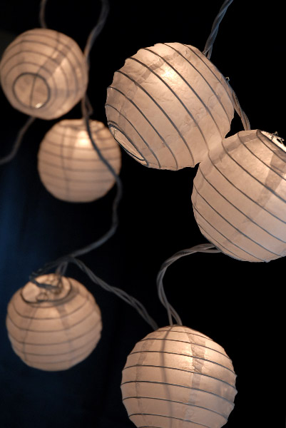 help me decorate my reception space! :  wedding reception space rustic vintage lights branches Save On Paper Lantern