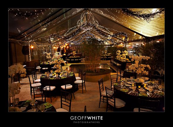 help me decorate my reception space! :  wedding reception space rustic vintage lights branches Vitale Reception