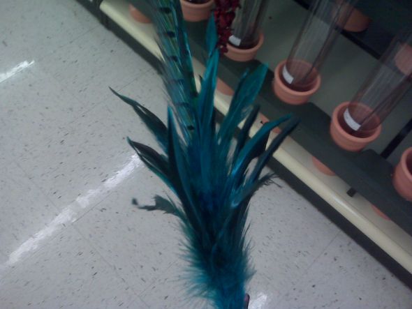 Teal Feathers Thoughts wedding teal feathers Blue Feather Spike Hobby 