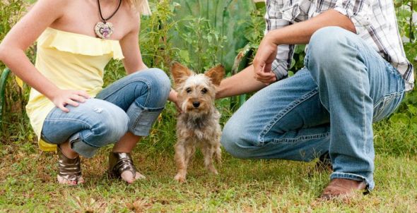 Pets in Engagement photos? :  wedding engagement photos dog puppy Bh3