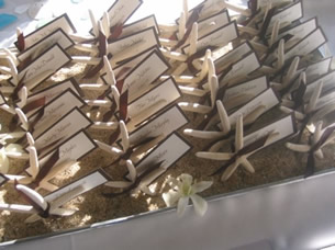 Pelican Beach Club House Wedding : wedding wedding dj Sf Escortcards02