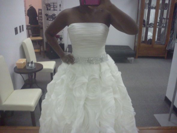 AA  Brides lets see your wedding dress married or not :  wedding aa brides show your wedding dress 1019111818