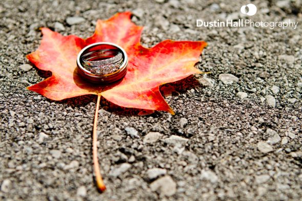 Pro ring photos... Let me see them! :  wedding 1