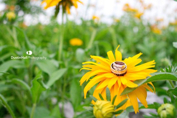 Pro ring photos... Let me see them! :  wedding 12