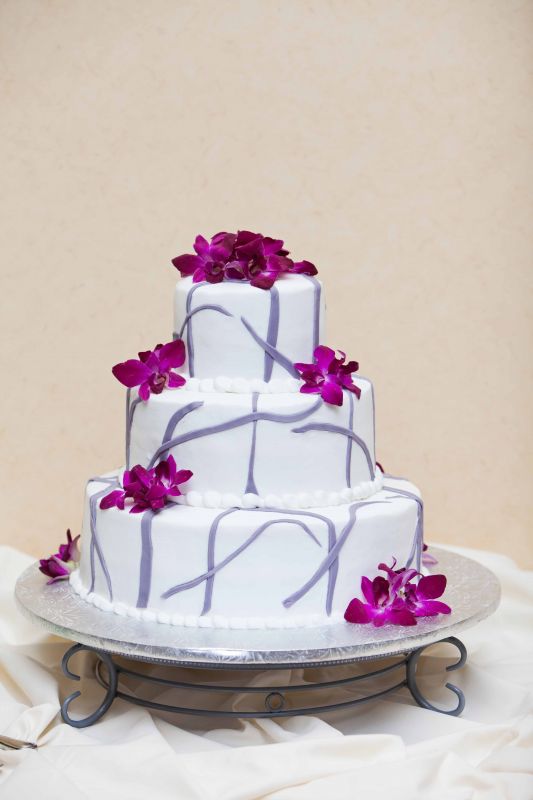 Wedding Cake Photos wedding green purple silver cake flowers reception 