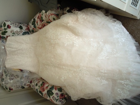 Post a pic of your favorite COLORED dress here please :) :  wedding dress non white 1 colored DSCN0452