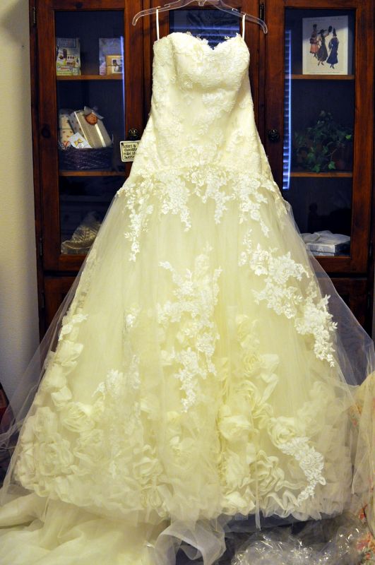 Drop Waist...What's your favorite?! :  wedding pronovias drop waist rosa clara picture dress gown lace DSC 1859