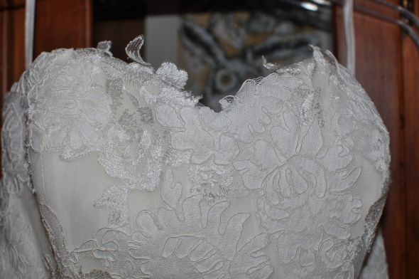 Drop Waist...What's your favorite?! :  wedding pronovias drop waist rosa clara picture dress gown lace DSC 1862