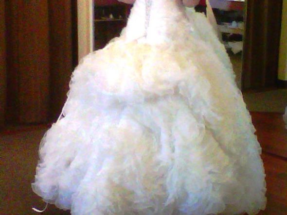 My Bustles for organza and tulle ballgowns with pictures :  wedding IMG00293 20120211 1048