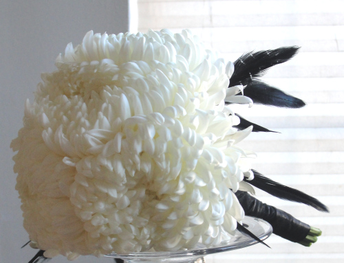 White chrysanthemums for everything? :  wedding flowers floral Amanda2