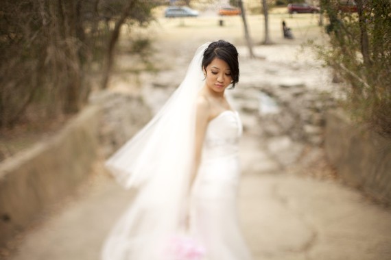 Help! Types of Veils. (with pics) : wedding veil style cut puffy cathedral help two tier three tier Veil