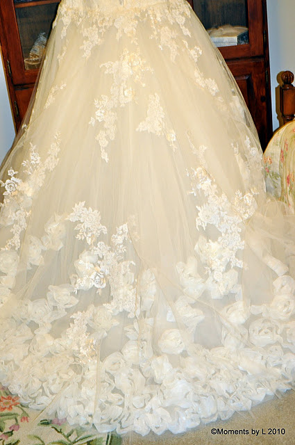 Drop Waist...What's your favorite?! : wedding pronovias drop waist rosa clara picture dress gown lace Ztrain
