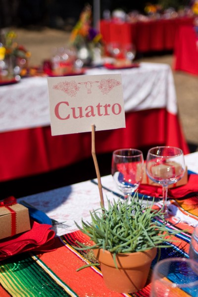 Cinco de Mayo wedding...thoughts? :  wedding Cincotablecenterpiece