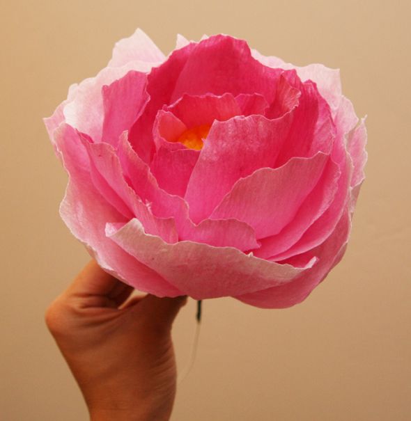 crepe paper flowers wedding. show me your paper/coffee