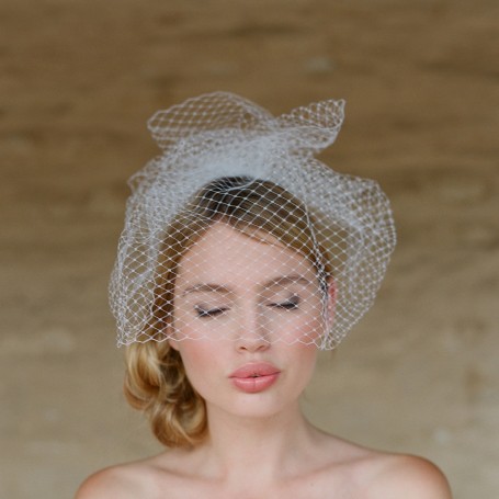 What kind of veil with this dress? PICS : wedding dress veil birdcage Mini Birdcage Veil