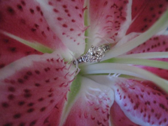 half eternity ct weight? :  wedding half eternity channel set band New House Photos 005